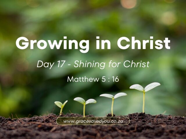 Growing in Christ 🌱 Day 17 : Shining for Christ