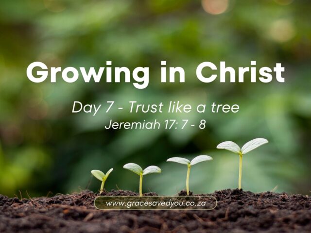 Growing in Christ 🌱 Day 7: Trust like a tree